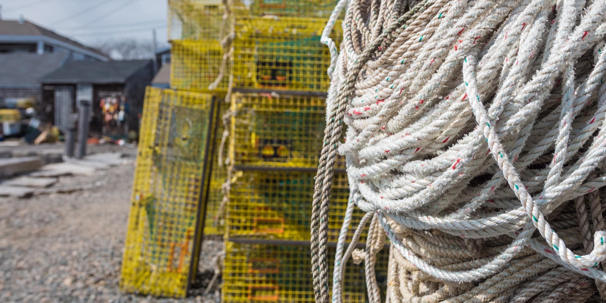 Lobster traps and rope stacked on a working pier
